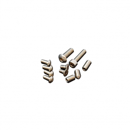 DAA Race Master Holster- Complete Spare Screw Set Flat